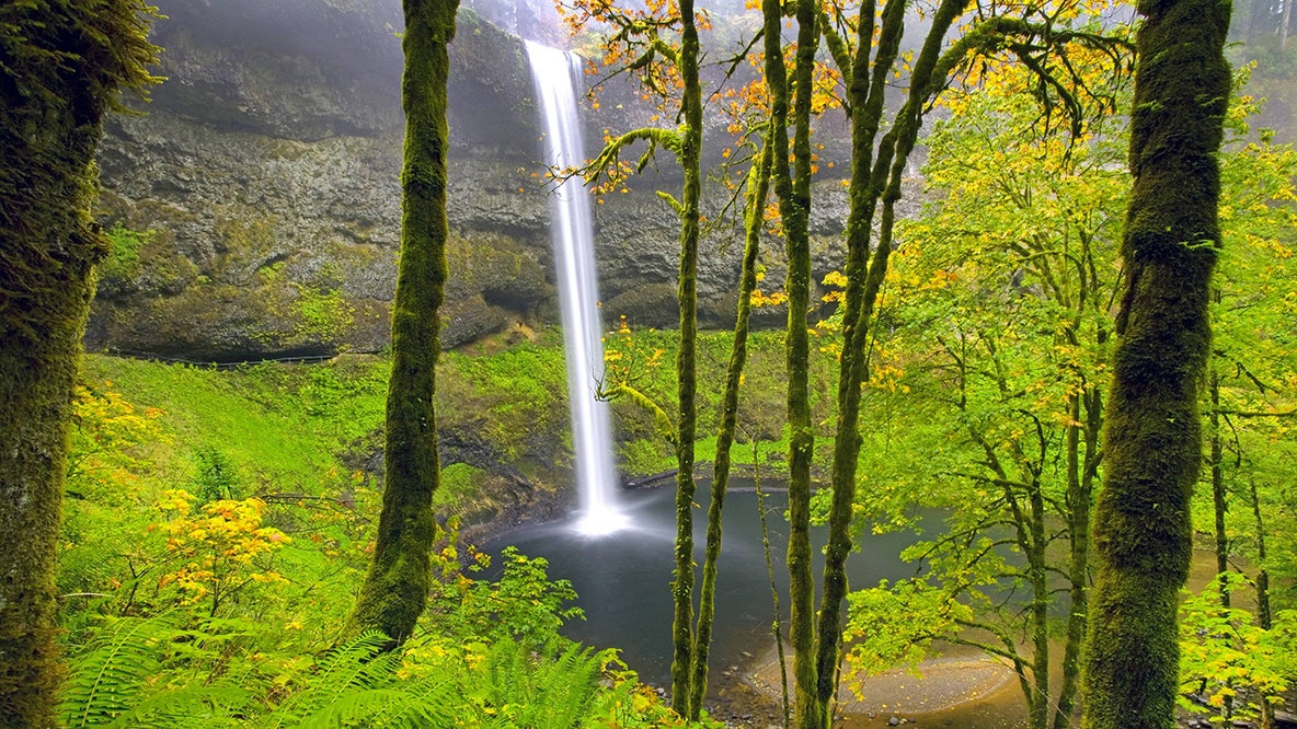 20yo dies after slipping off 177-foot waterfall while posing for pictures