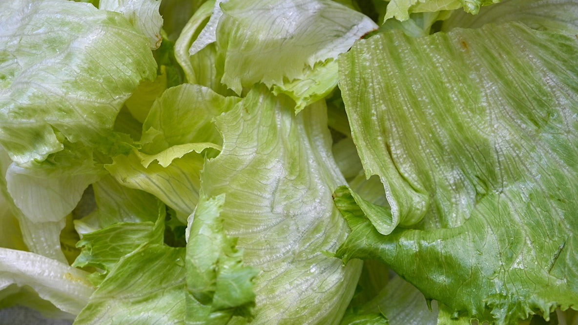 CDC expands iceberg lettuce cyclospora outbreak to 15 states
