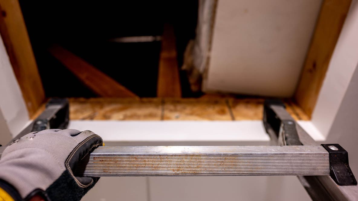 Over 1.7 million ladders sold at Home Depot, Lowe’s recalled over serious fall hazard