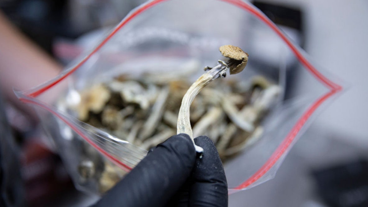 VA launches clinical trial of psilocybin to treat veterans suffering from depression, PTSD