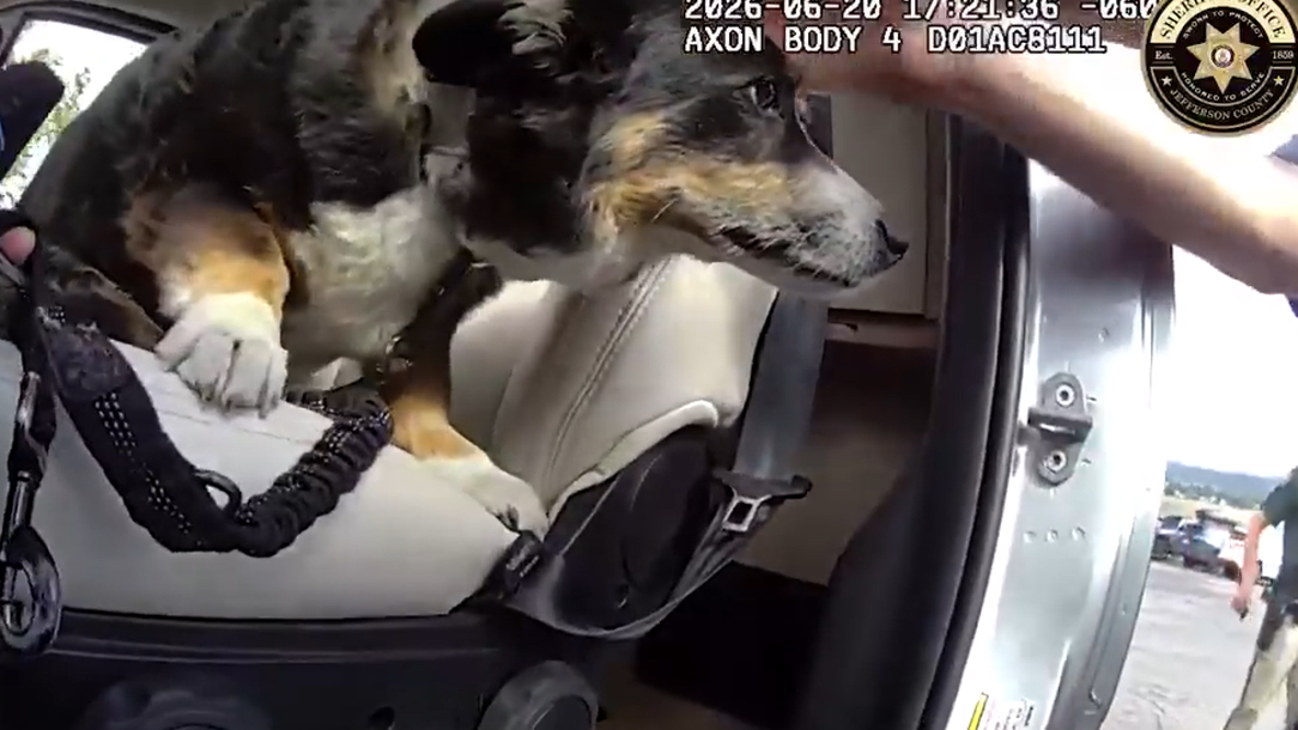 Watch: Colorado deputy smashes van window to rescue dog locked inside in heat