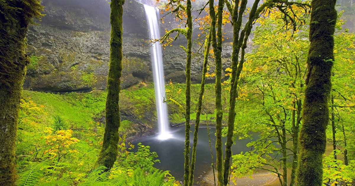 20yo dies after slipping off 177-foot waterfall while posing for pictures