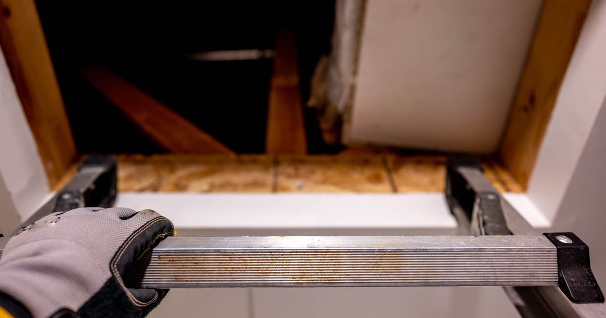 Over 1.7 million ladders sold at Home Depot, Lowe’s recalled over serious fall h...