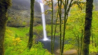 20yo dies after slipping off 177-foot waterfall while posing for pictures