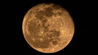Part of stray SpaceX rocket crashes into moon as predicted