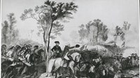 Historic Revolutionary War ‘witness tree’ at center of preservation effort