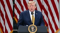 Trump may rename Lake Ontario to 'Lake America' amid trade standoff with Canada