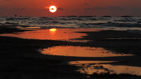Beachgoers warned after deadly 'flesh-eating' bacteria kills 5 in southern state