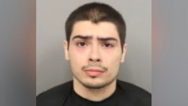 Armed suspect with machete, pickaxe detained by customers during Costco jewelry heist: reports