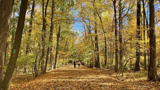 Tired of the heat? Here's when Old Farmer's Almanac says cooler weather will arrive