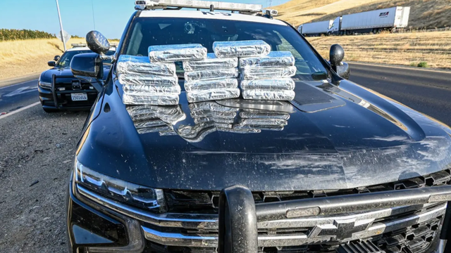 California traffic stop leads to $817K cocaine seizure, CHP says