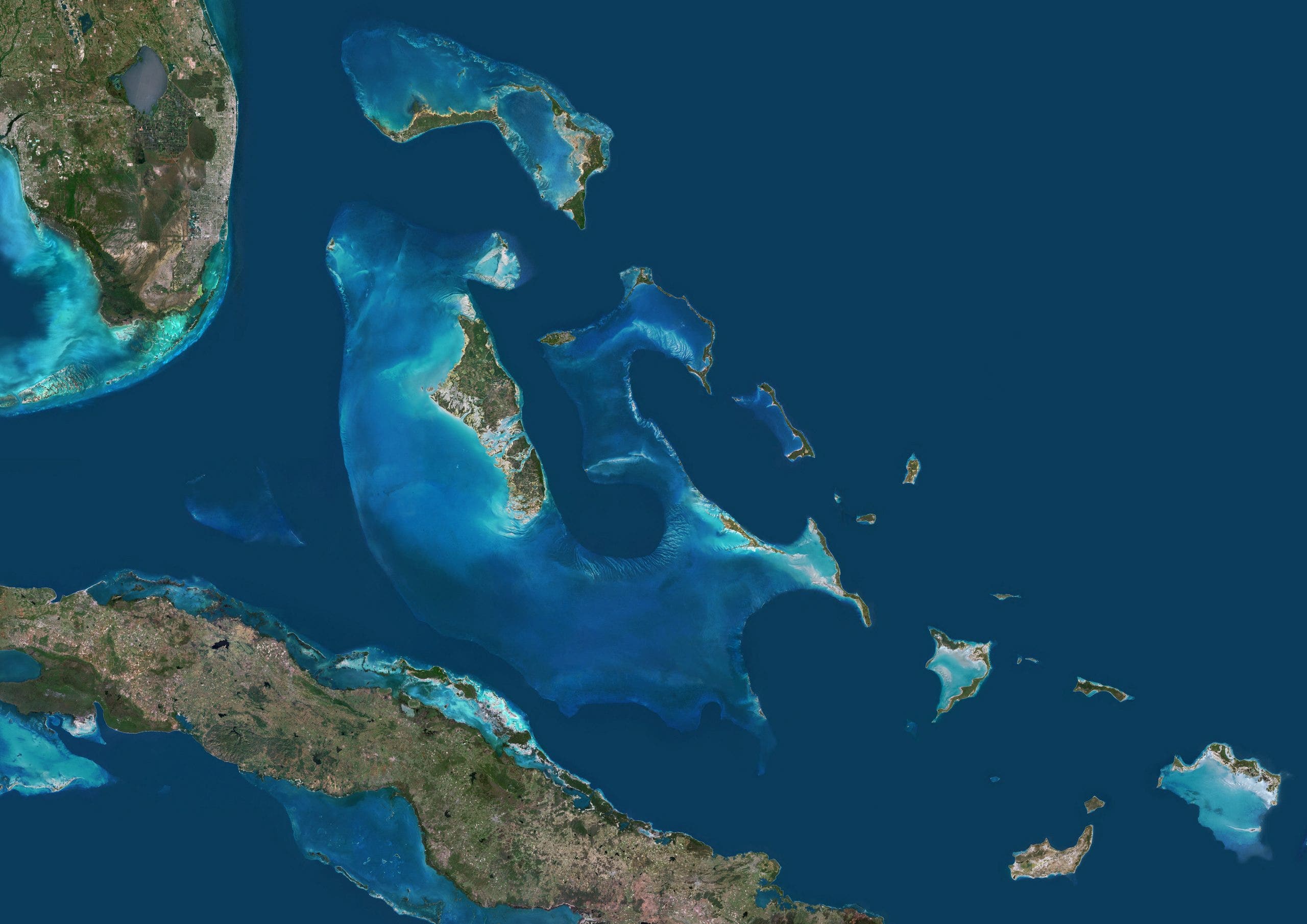 Bodies of 4 recovered after plane goes missing in Bahamas