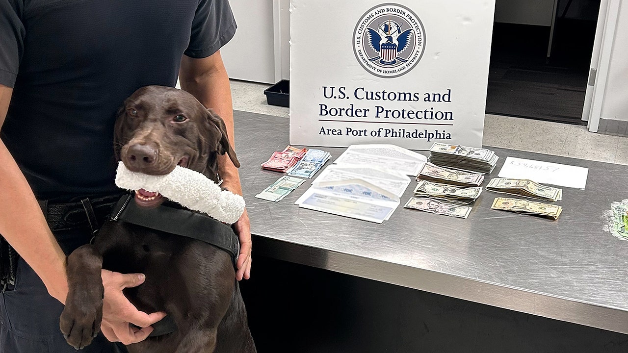 K9 alert leads to $19,000 cash seizure from Dominican Republic-bound travelers in Philadelphia