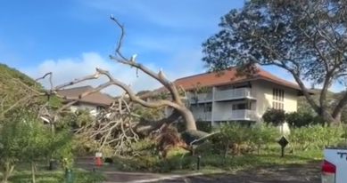 Tourism officials urge visitors to avoid Hawaiian island in wake of Hurricane Lowell