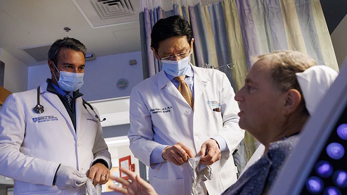 Pig kidney functions for record 271 days inside man awaiting human transplant