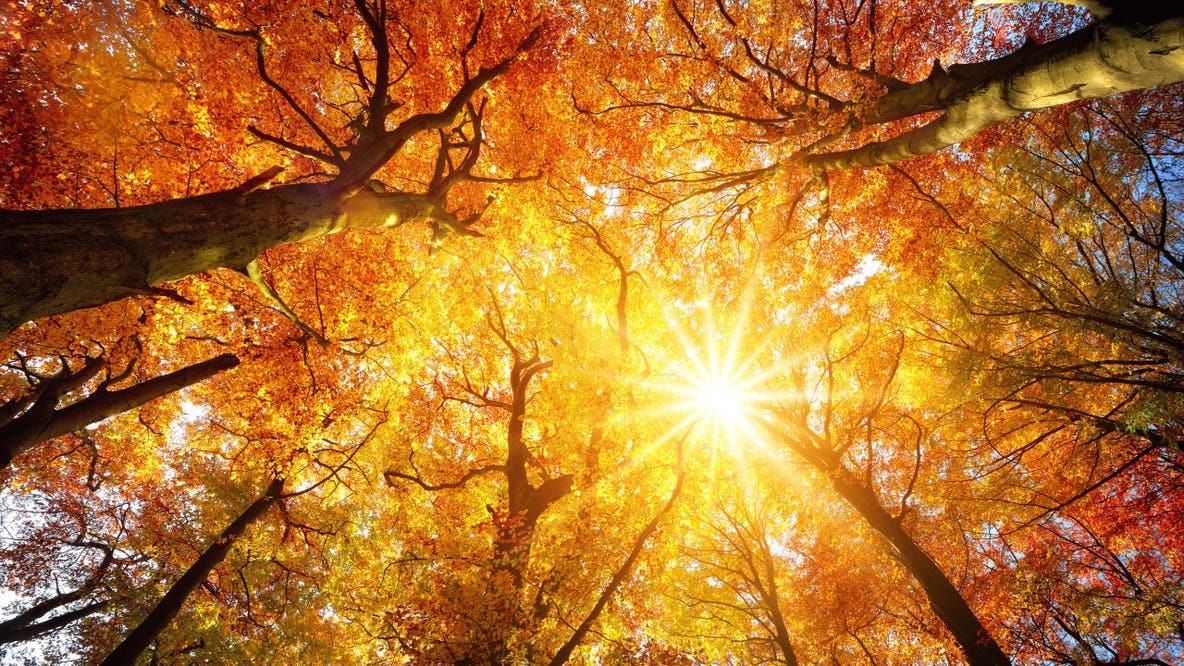 Map: Here's how much hotter fall has gotten in your county