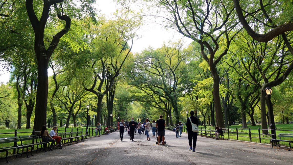 These are America’s greenest cities: Here’s what sets them apart