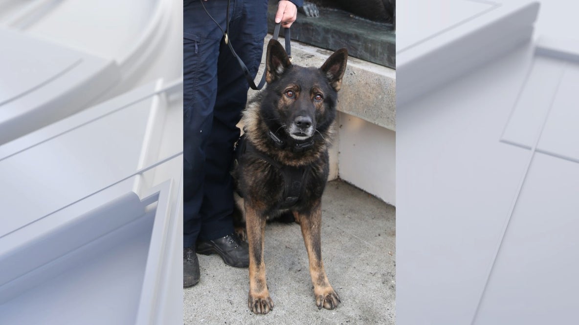 Police K-9 officer killed in the line of duty on his final shift before scheduled retirement