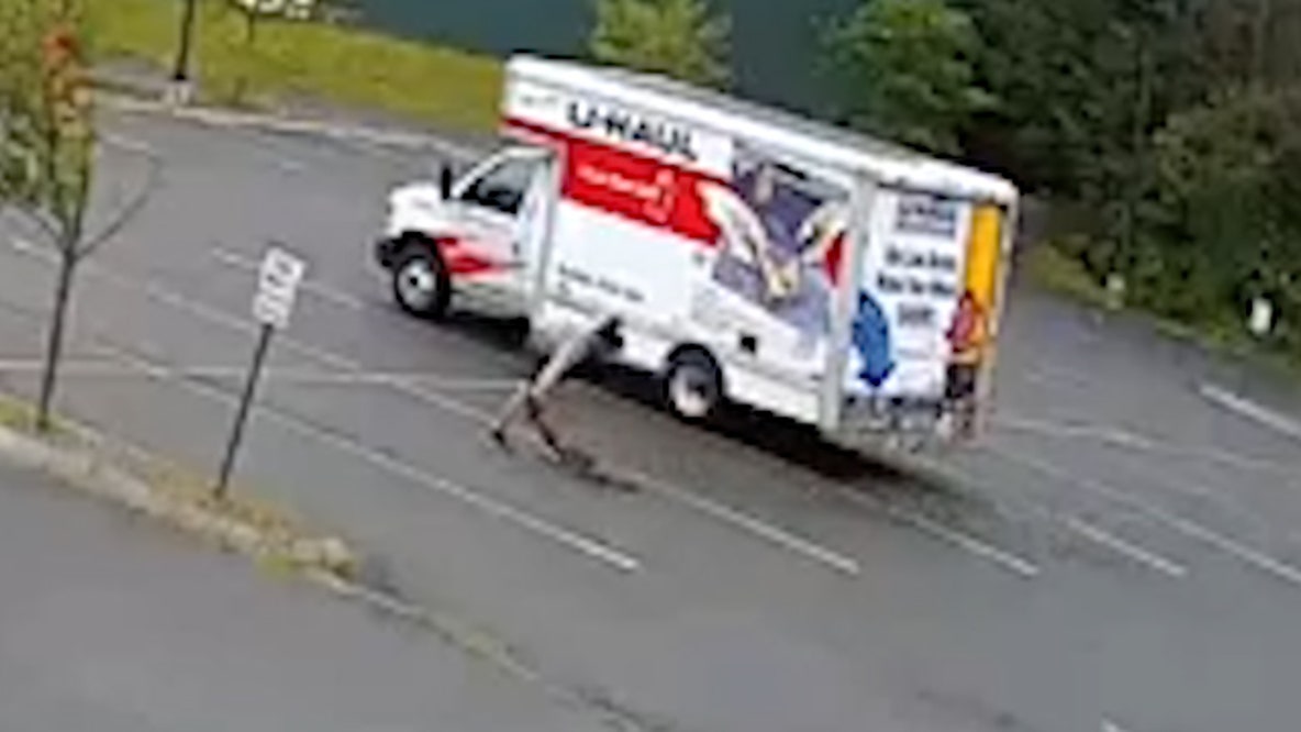 Watch: Mystery animal attacks man in New Hampshire parking lot