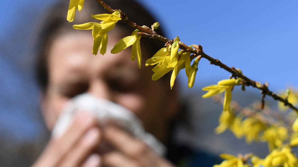 The surprising link between allergies and suicide risk explained