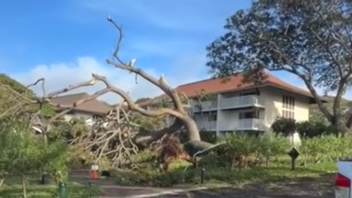 Tourism officials urge visitors to avoid Hawaiian island in wake of Hurricane Lowell
