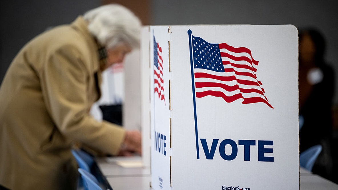 Despite intensive crackdown, voter fraud remains rare, experts say