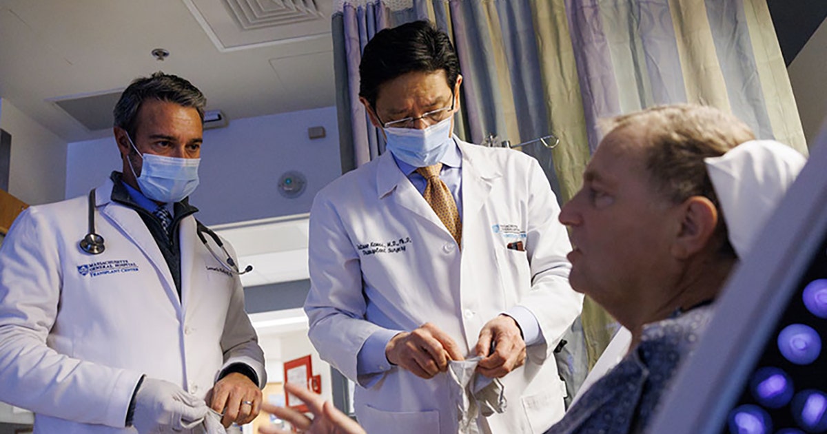 Patient Survives 271 Days With Genetically Modified Pig Kidney