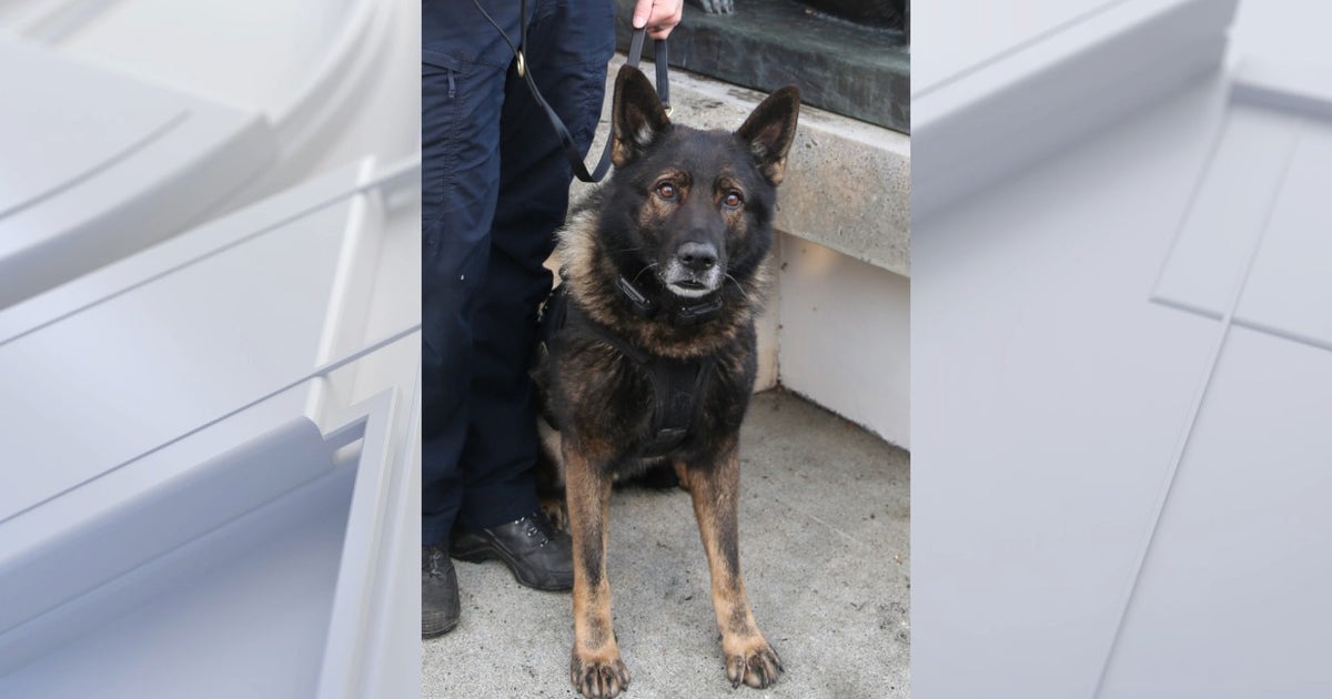 Police K-9 officer killed in the line of duty on his final shift before scheduled retirement