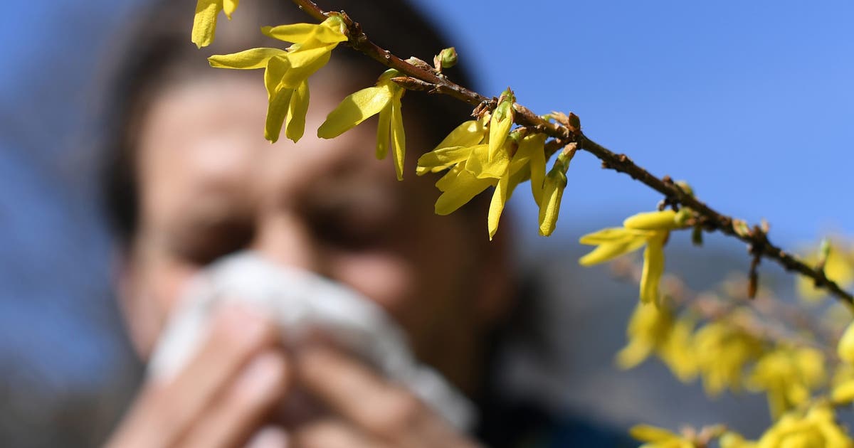 The surprising link between allergies and suicide risk explained
