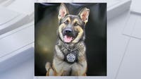 Tennessee K-9 dies from heatstroke after being left outside without water for 36 hours, sheriff says