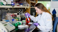 Possible weight loss treatment that doesn’t require eating less shows promise, study finds
