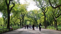 These are America’s greenest cities: Here’s what sets them apart