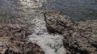 Teacher, 10-year-old student die at lake during school outing