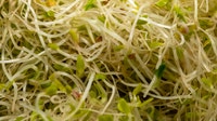 Alfalfa sprouting seeds recalled over possible E. coli, salmonella contamination