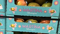 Mangoes sold at Walmart recalled for possible salmonella contamination, FDA says