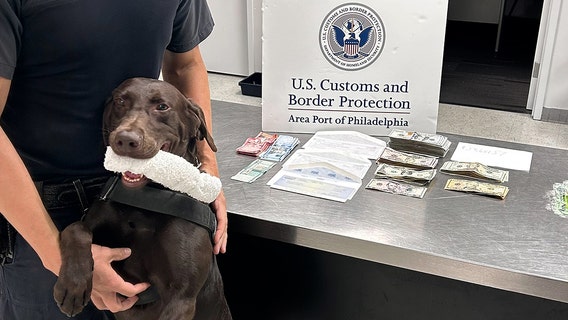 K9 alert leads to $19,000 cash seizure from Dominican Republic-bound travelers in Philadelphia
