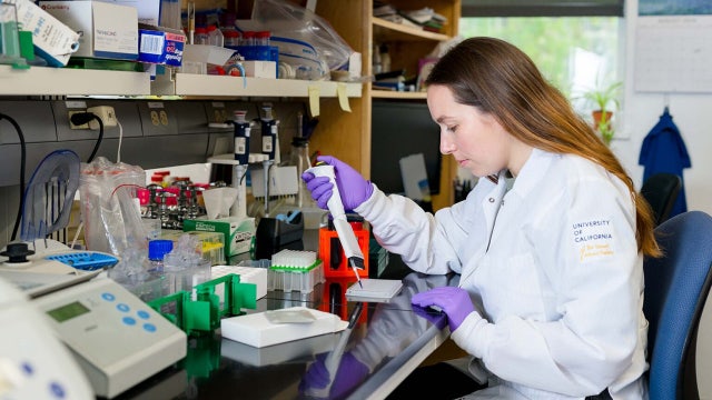 Possible weight loss treatment that doesn’t require eating less shows promise, study finds