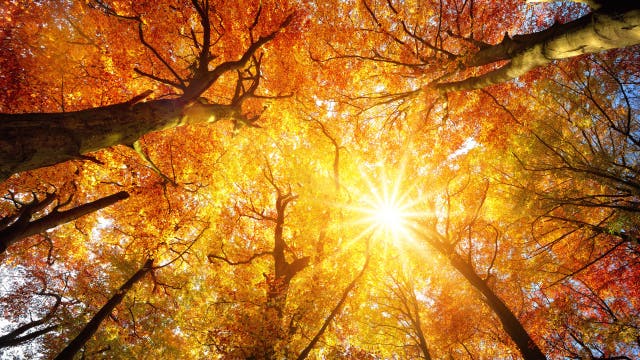 Map: Here's how much hotter fall has gotten in your county