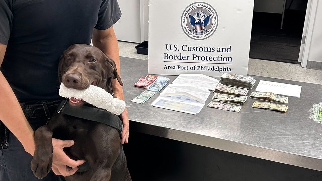 K9 alert leads to $19,000 cash seizure from Dominican Republic-bound travelers in Philadelphia