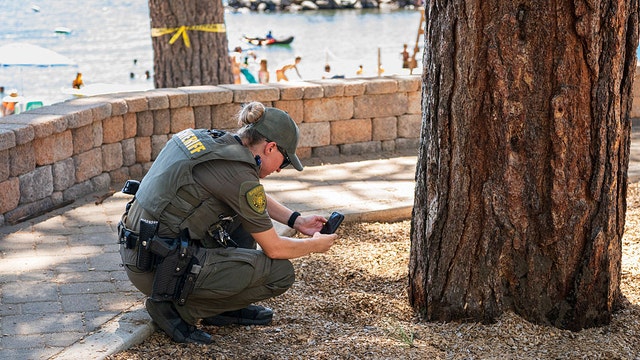 Valuable trees poisoned by diesel fuel prompt officials to offer hefty reward for any information