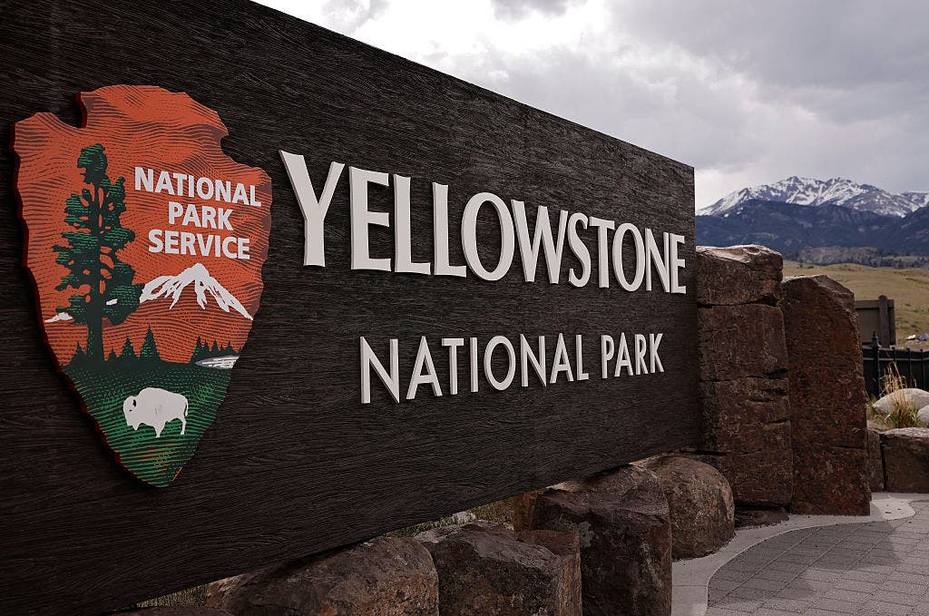 Missing dog Luna rescued after more than a month in Yellowstone National Park