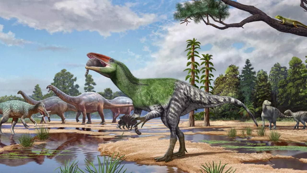 New long-clawed dinosaur species identified from century-old fossil in museum drawer