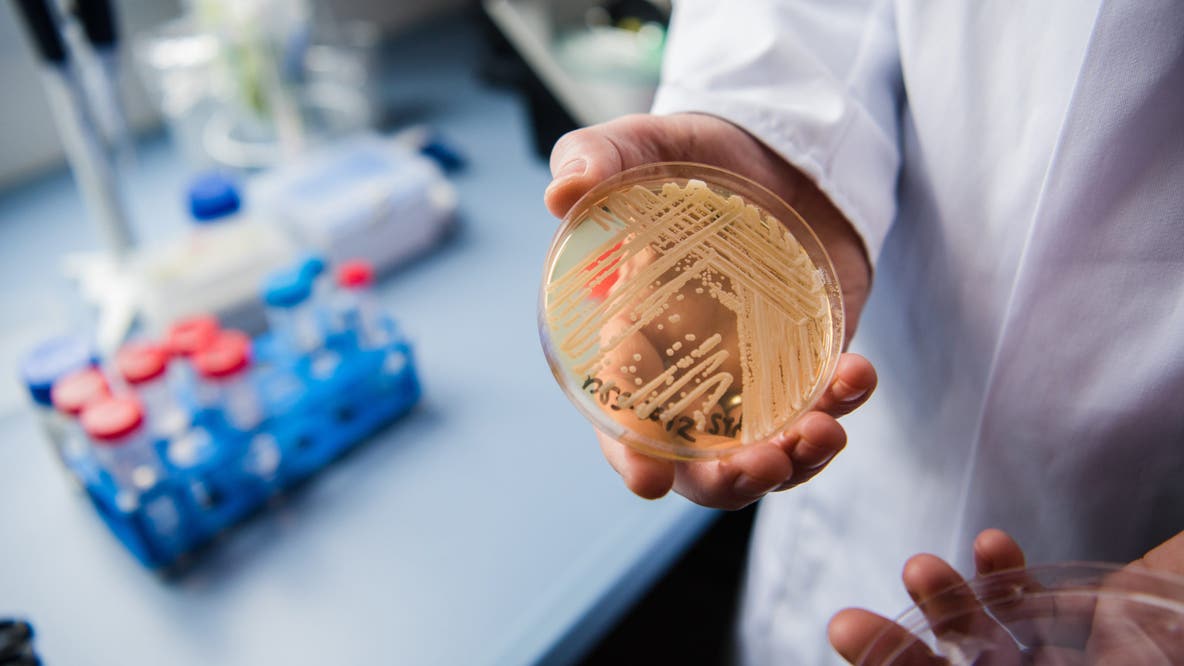 New study reveals why dangerous fungus is so difficult to treat