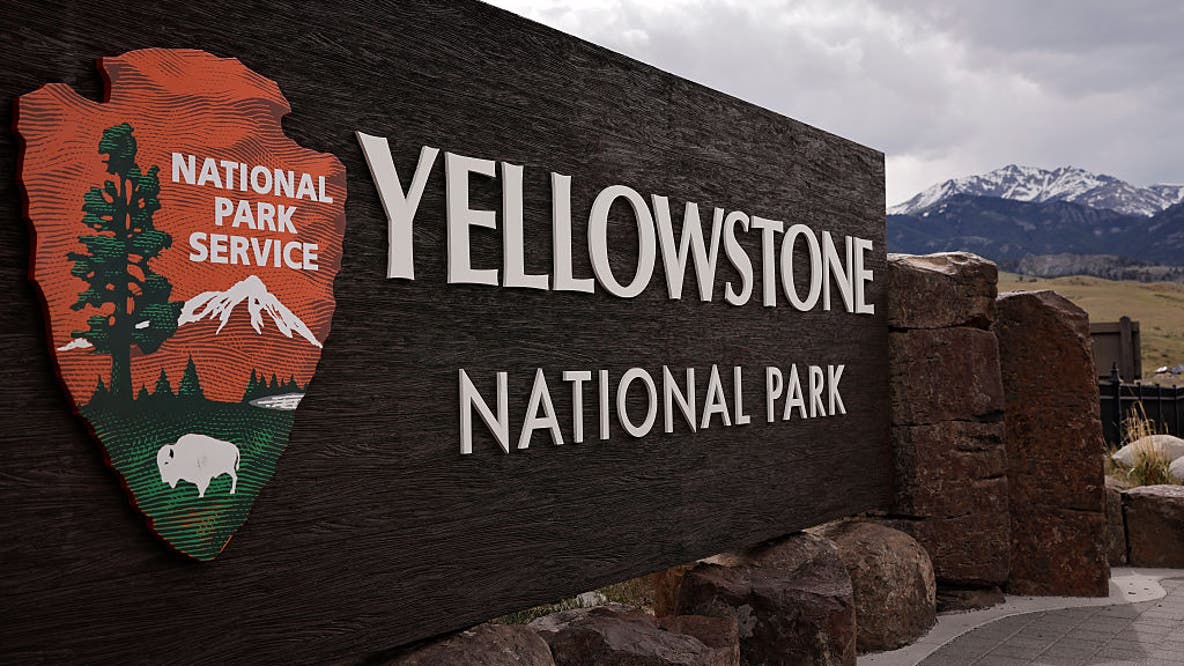 Missing dog Luna rescued after more than a month in Yellowstone National Park