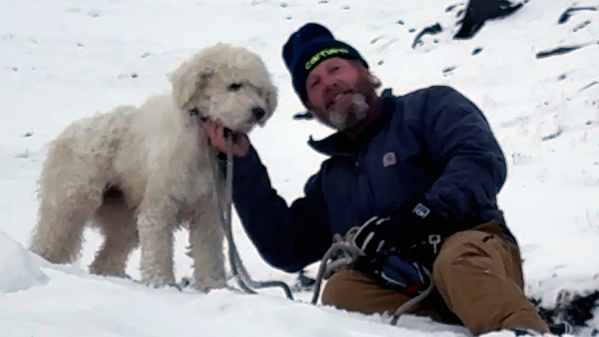 Watch: Dog lost in Alaska avalanche miraculously found 2 days later