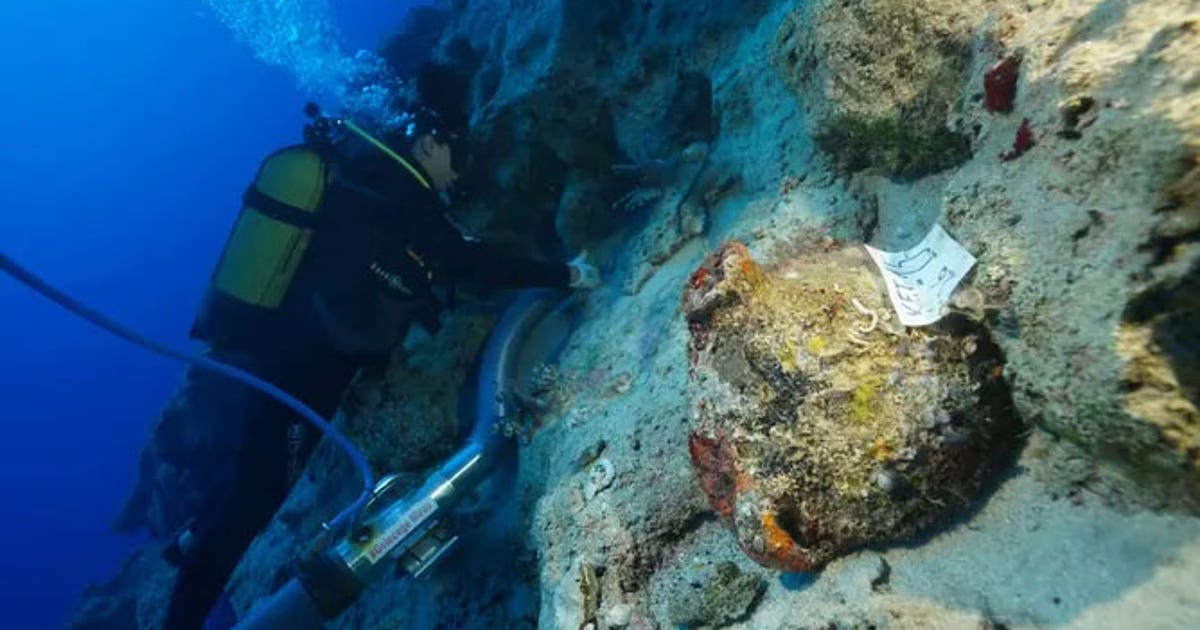 Archaeologists in Turkey may have found the world’s oldest shipwreck