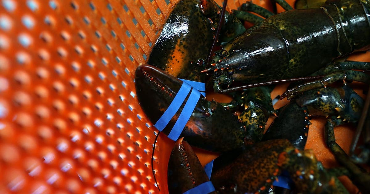 Trump administration launches new seafood labels, website in 'America First' strategy