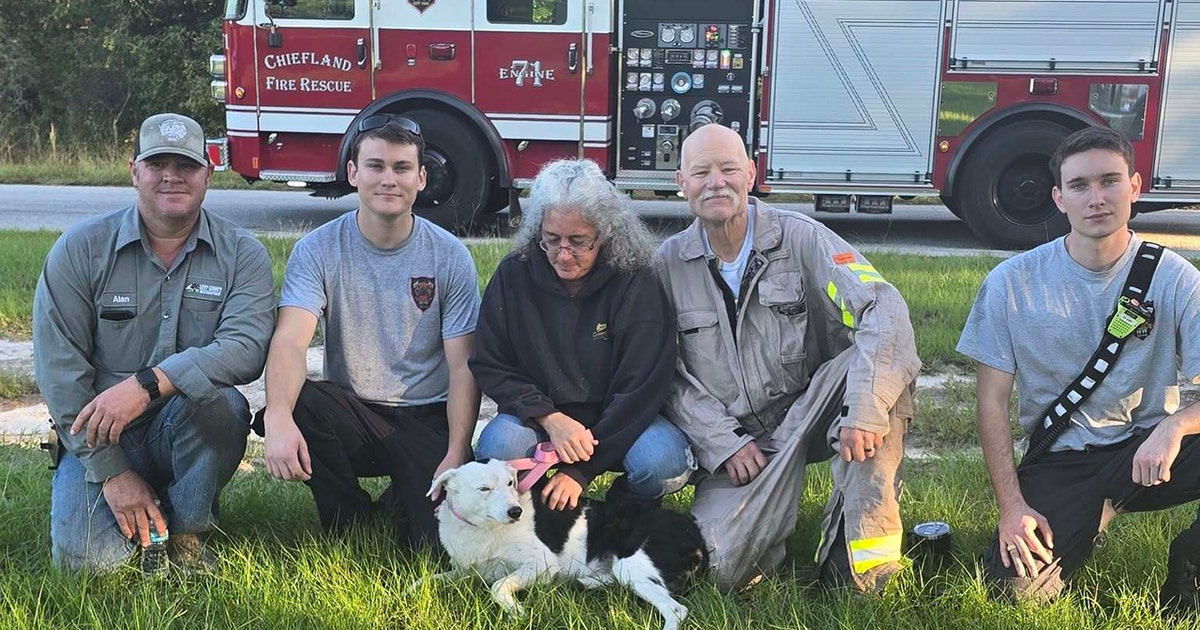 Reunited: Florida first responders rescue dog from sinkhole