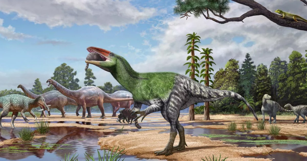 New long-clawed dinosaur species identified from century-old fossil in museum drawer