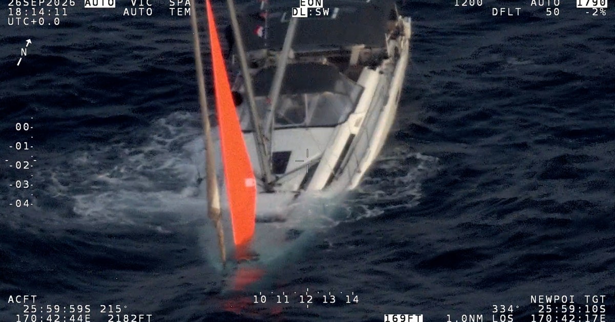 Watch: Yacht sinks after hitting pod of whales, crew rescued hours later